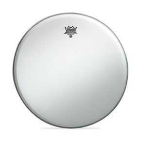 Remo Ambassador Coated 10 İnç Deri