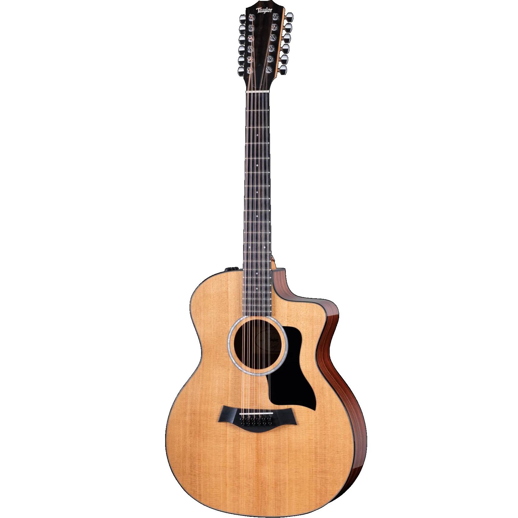 Taylor 254ce Plus 12 Telli Elektro Akustik Gitar