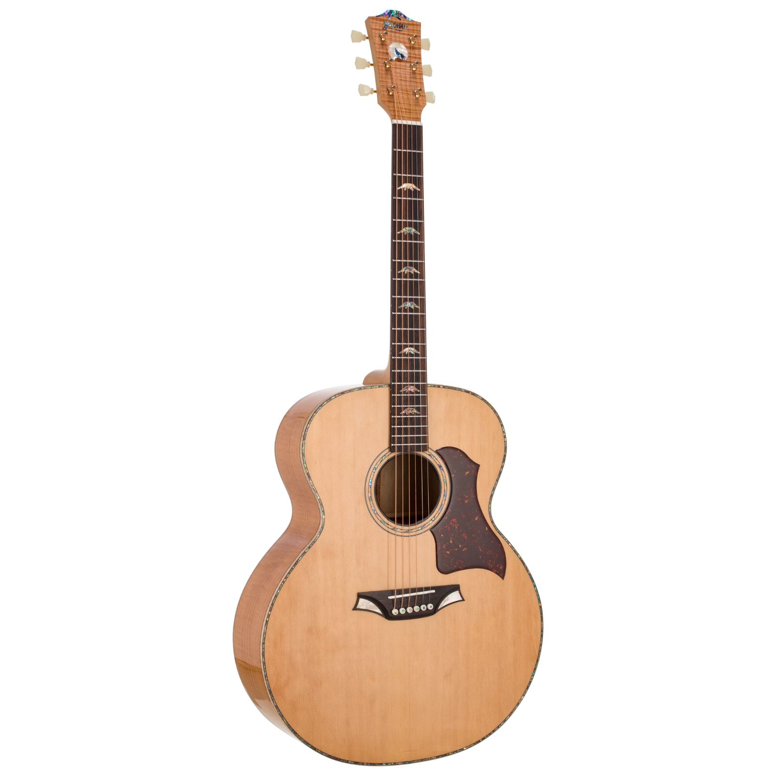Bromo BAN7E Jumbo Elektro Akustik Gitar (Natural)