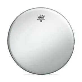 Remo Ambassador Coated 10 İnç Deri